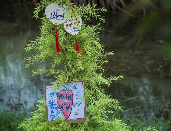 西奧多公益植樹活動(dòng)