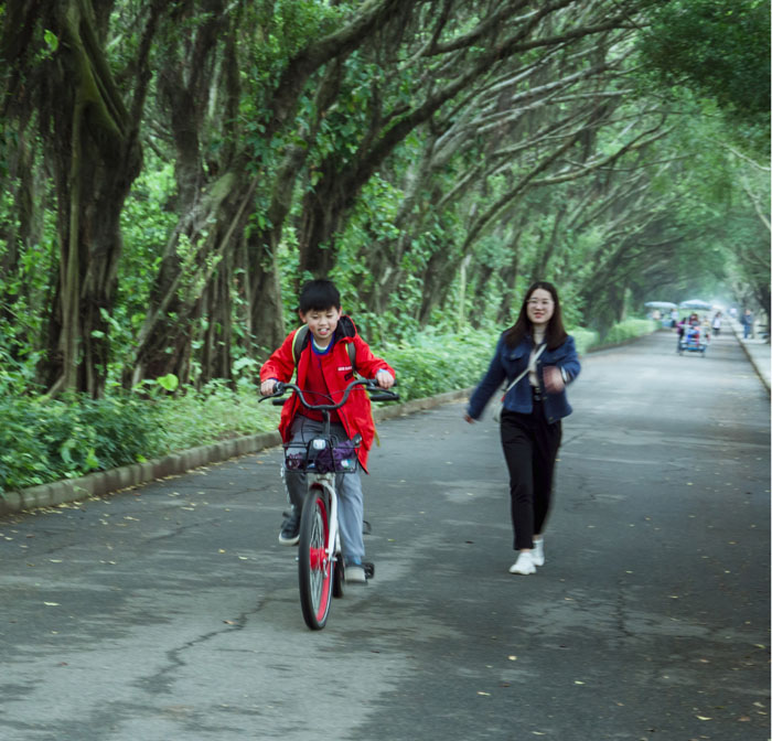 西奧多公益植樹活動(dòng)